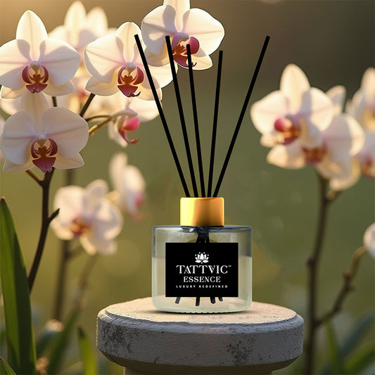 Tattvic Essence Reed Diffuser Set – Vanilla