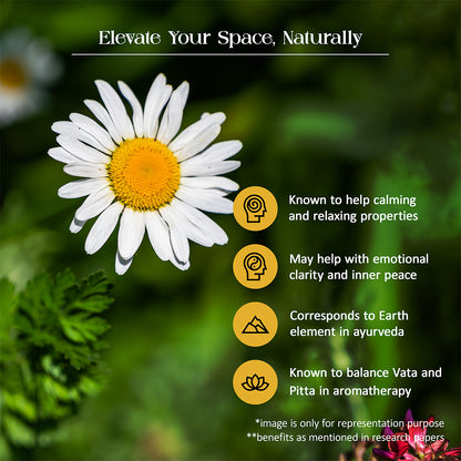 Tattvic Essence Reed Diffuser Set – Patchouli and Chamomile