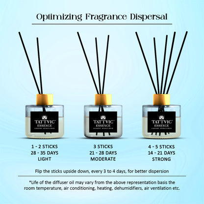 Tattvic Essence Reed Diffuser Set – Patchouli and Chamomile