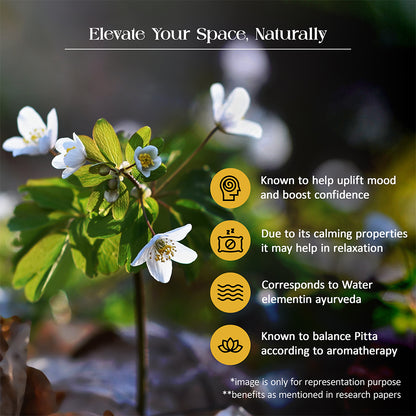 Tattvic Essence Reed Diffuser Set – Jasmine