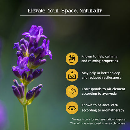 Tattvic Essence Reed Diffuser Set – Lavender