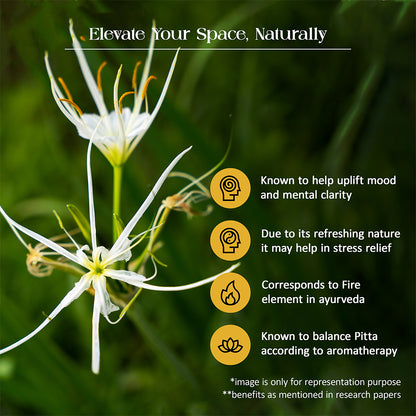 Tattvic Essence Reed Diffuser Set – Lemongrass