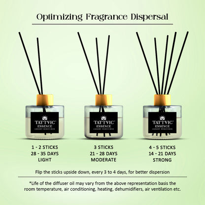 Tattvic Essence Reed Diffuser Set – Lemongrass