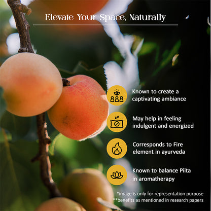 Tattvic Essence Reed Diffuser Set – Peach and Saffron