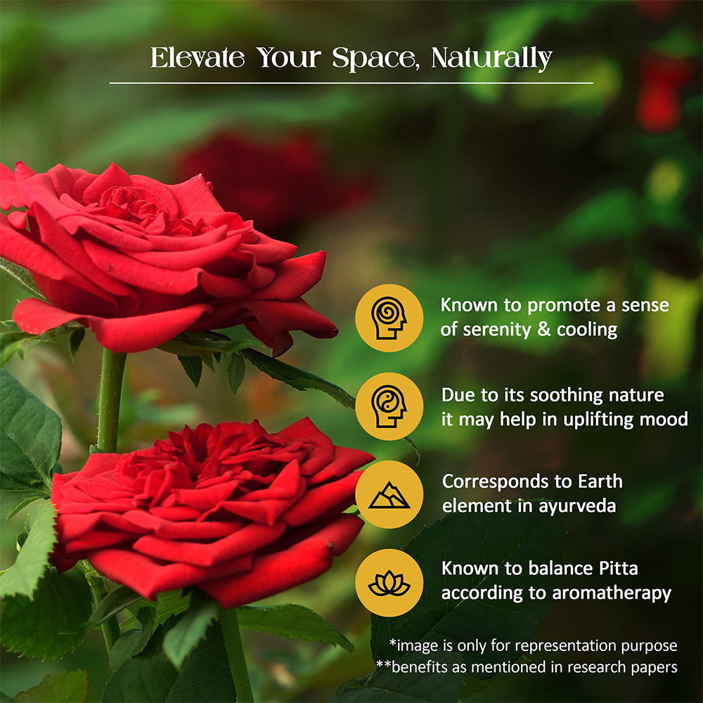 Tattvic Essence Reed Diffuser Set – Rose & Oud