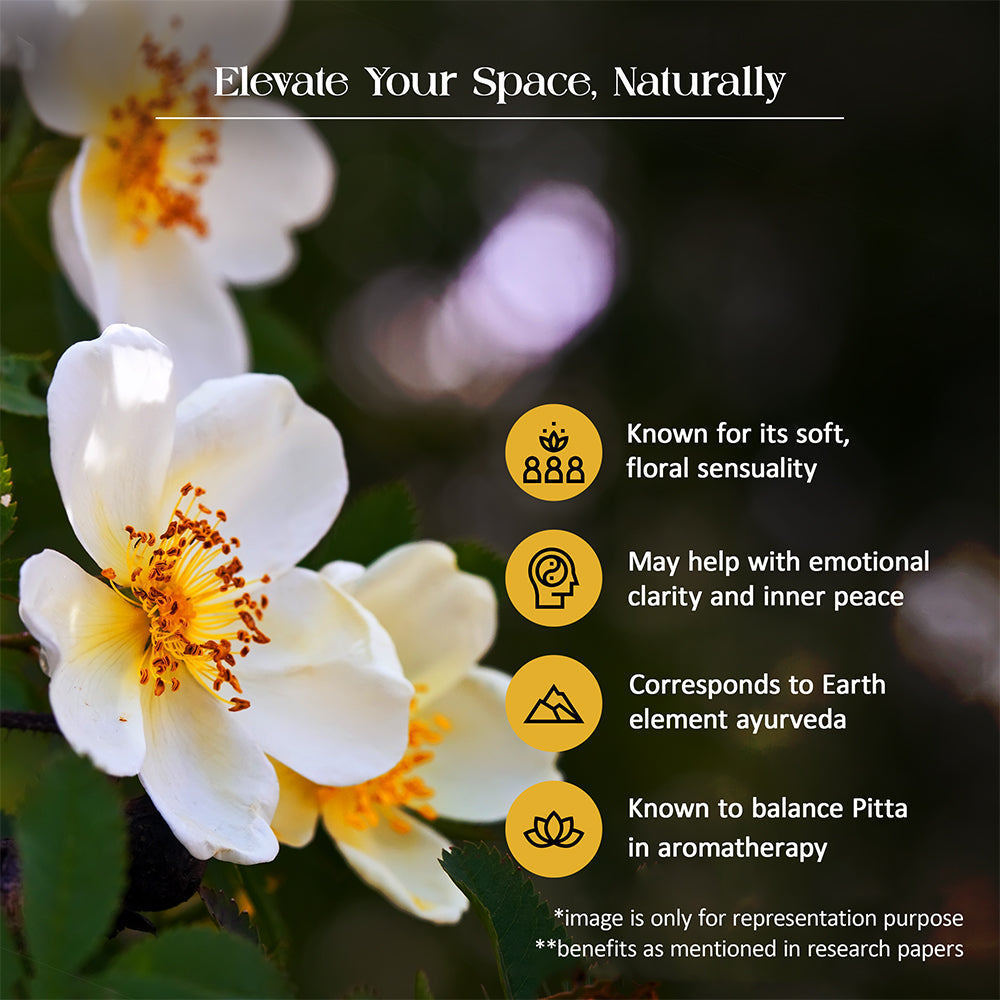 Tattvic Essence Reed Diffuser Set – Vanilla