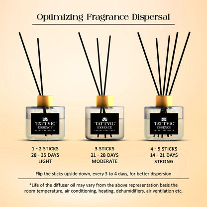 Tattvic Essence Reed Diffuser Set – Vanilla